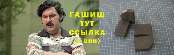 гашик Алексеевка