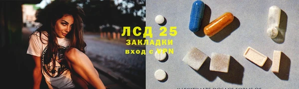 гашик Алексеевка