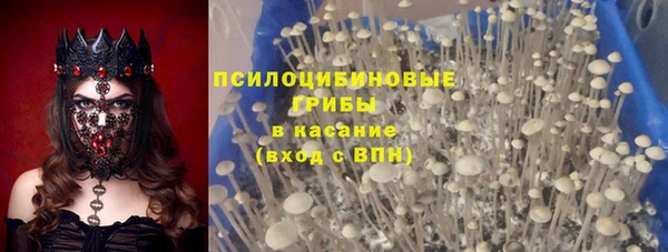 гашик Алексеевка